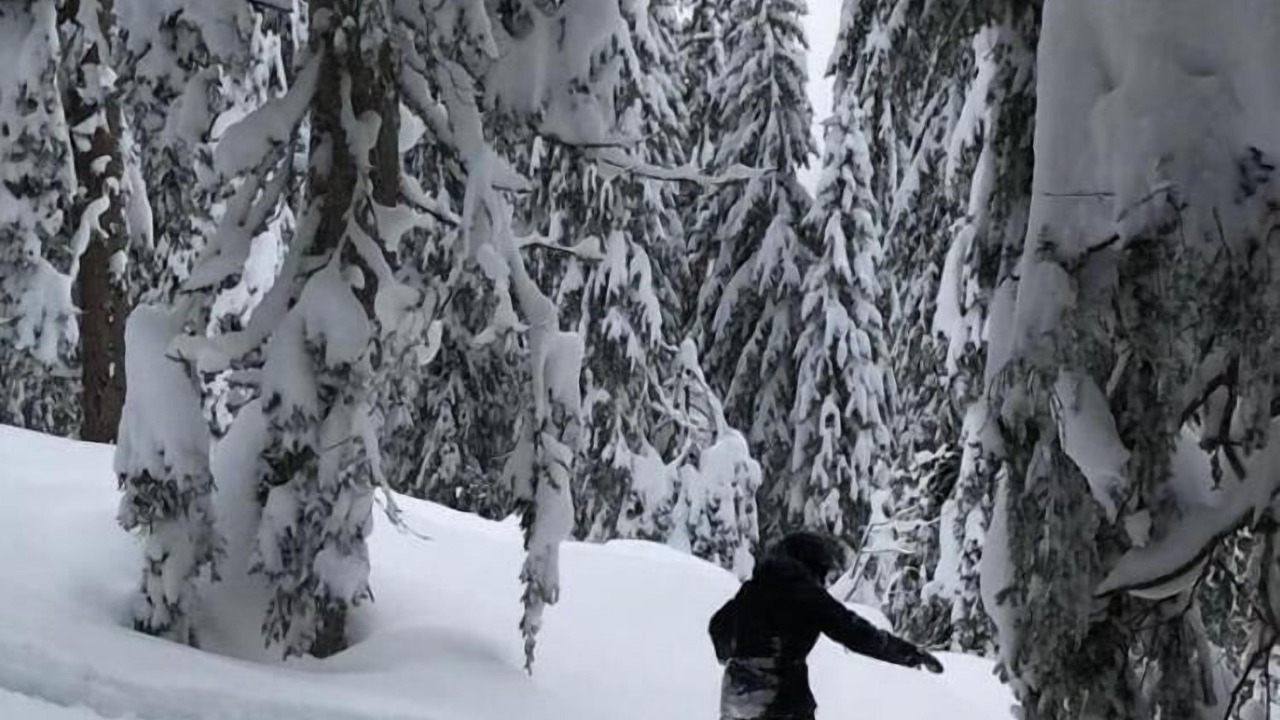 Photo of Others in Morzine