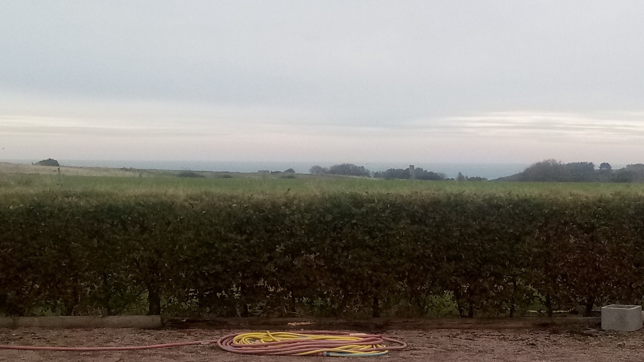 Photo of Outdoor in Criquebeuf-en-Caux