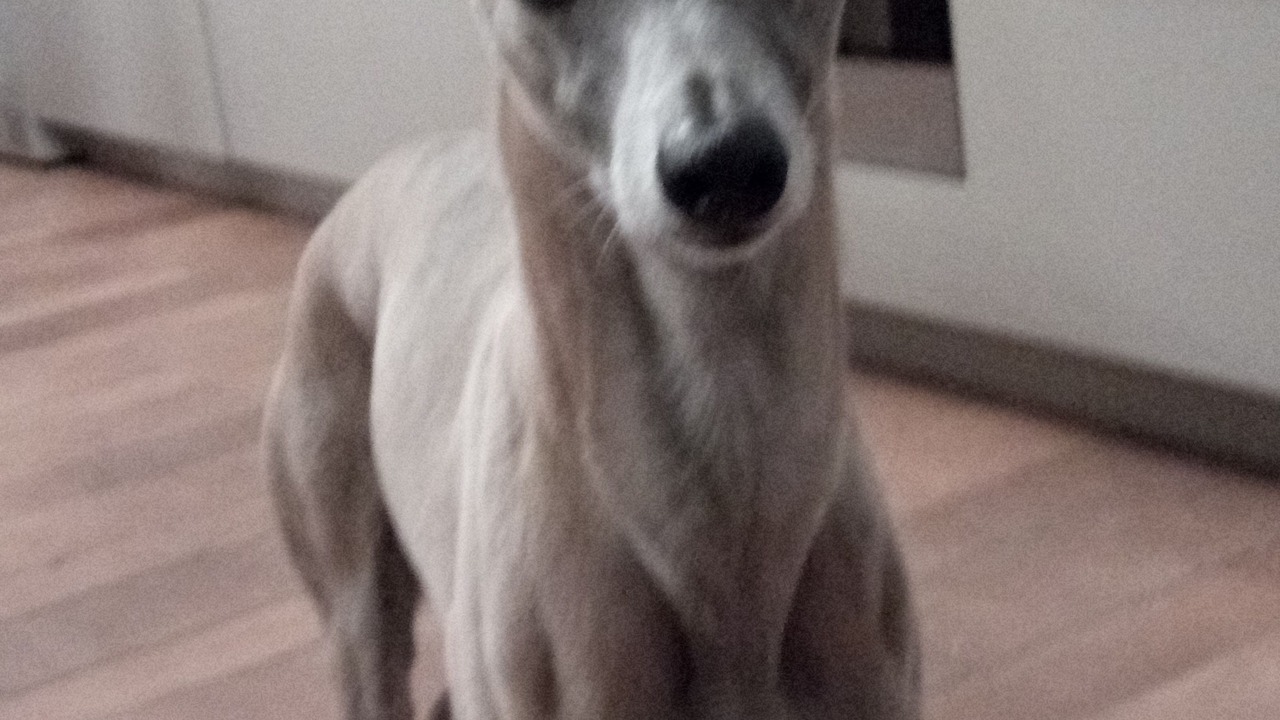 Photo of Others in Criquebeuf-en-Caux