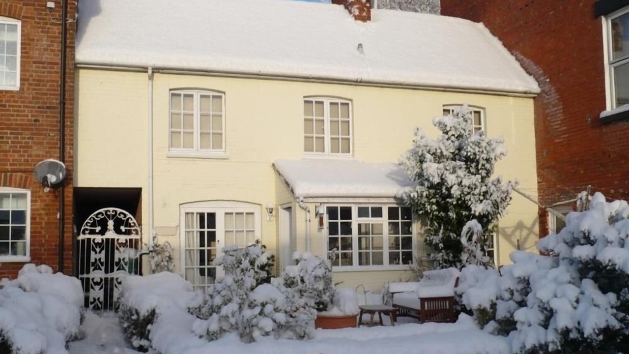 Photo of Others in Tisbury