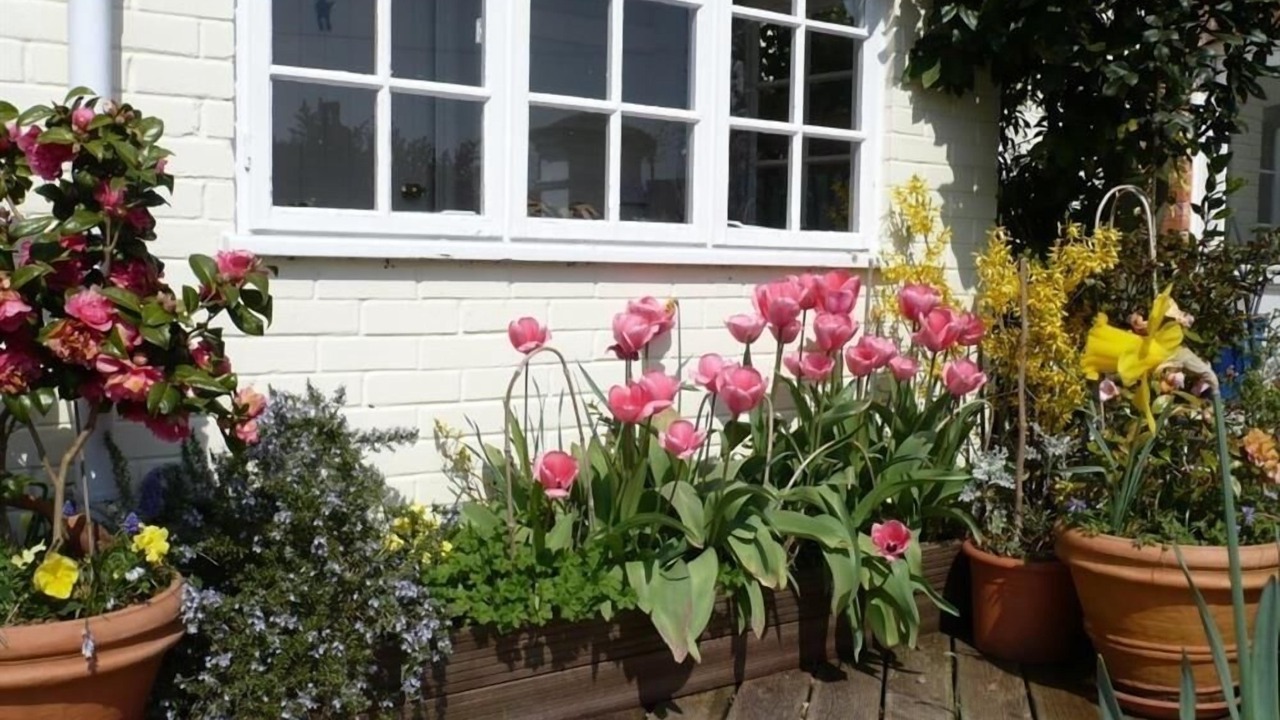 Photo of Others in Tisbury