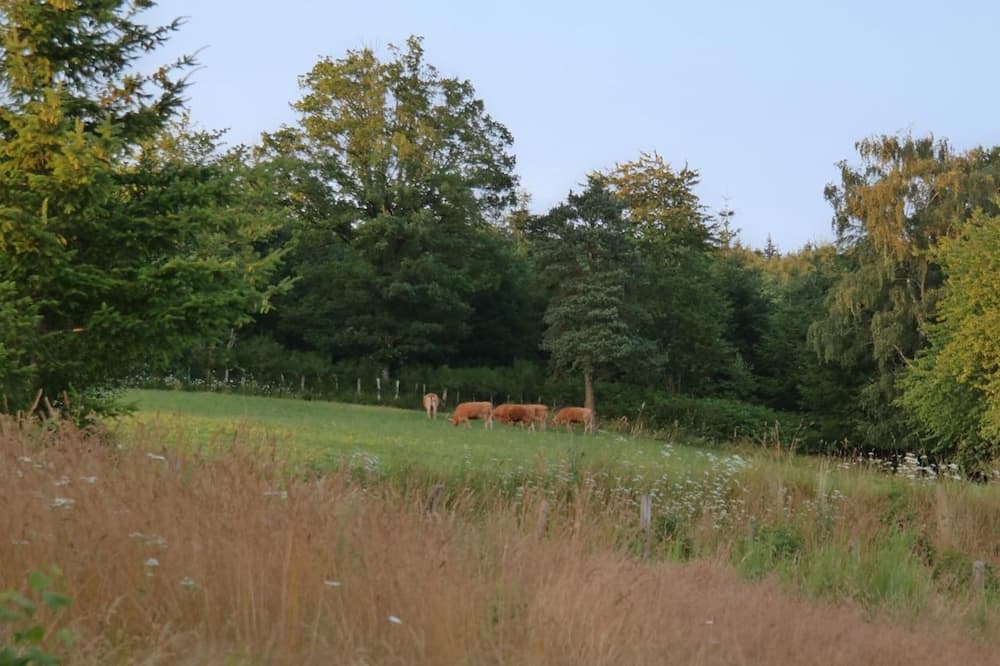 Photo of Outdoor in Augne