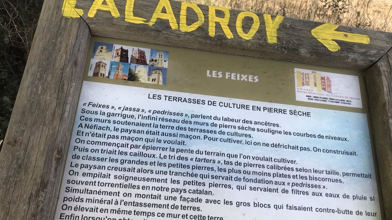 Photo of Outdoor in Nefiach