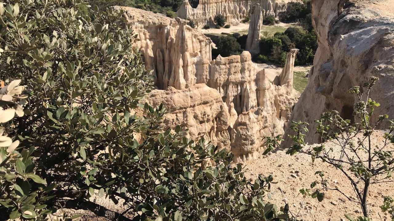 Photo of Outdoor in Nefiach