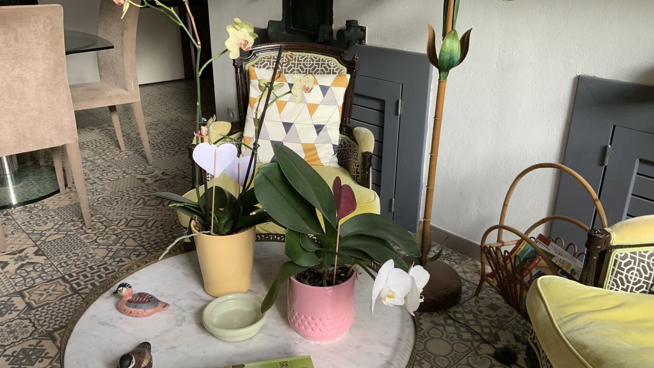 Photo of Others in Nefiach