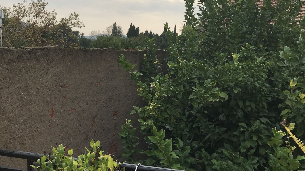 Photo of Patio Balcony in Nefiach