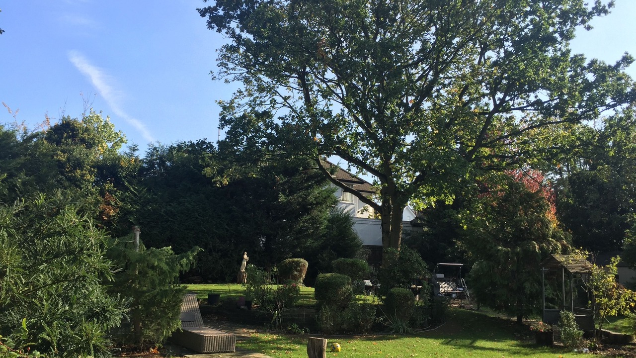 Photo of Outdoor in Edgware