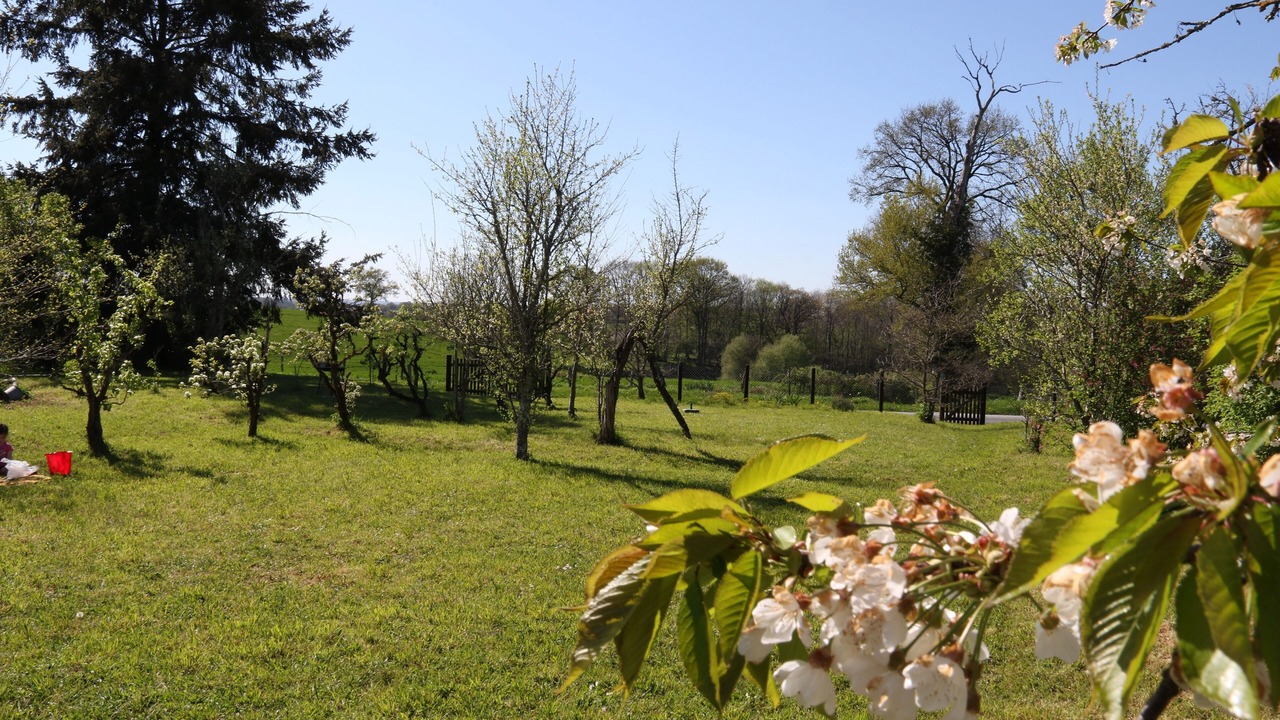 Photo of Outdoor in Dompierre-les-Eglises