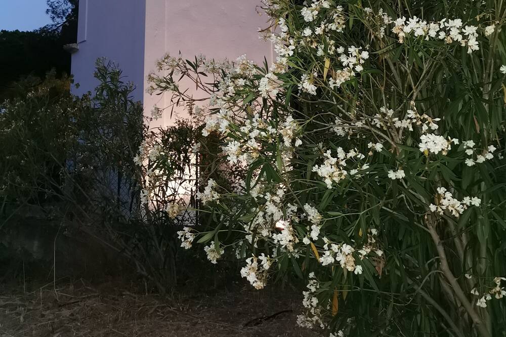 Photo of Outdoor in Coggia