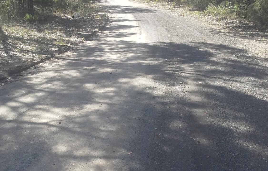 Photo of Outdoor in Kurrajong