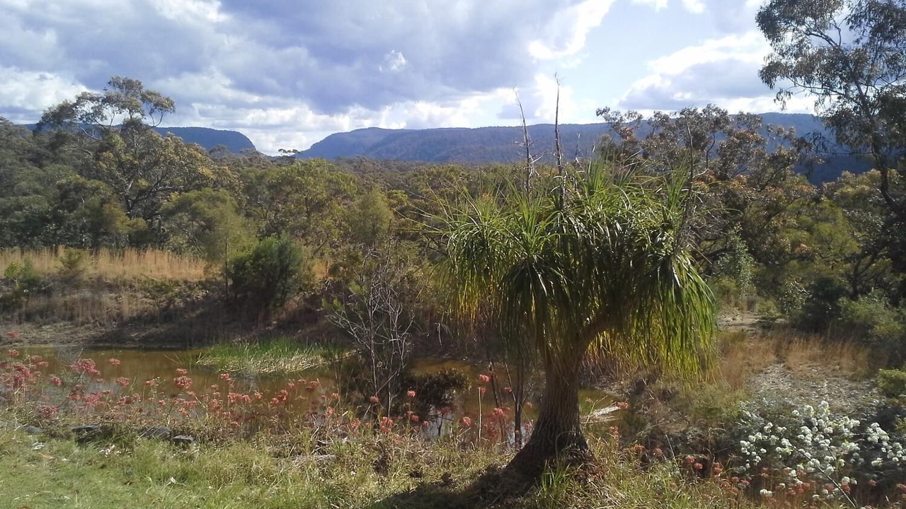 Photo of Outdoor in Kurrajong