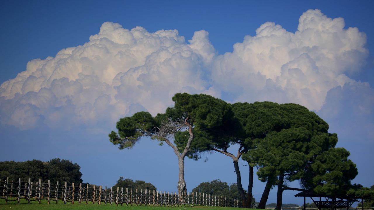 Photo of Outdoor in Fazana
