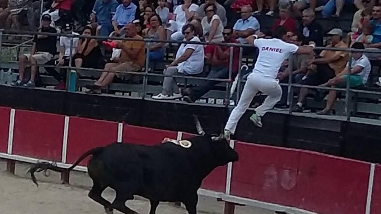 Photo of Others in Frontignan