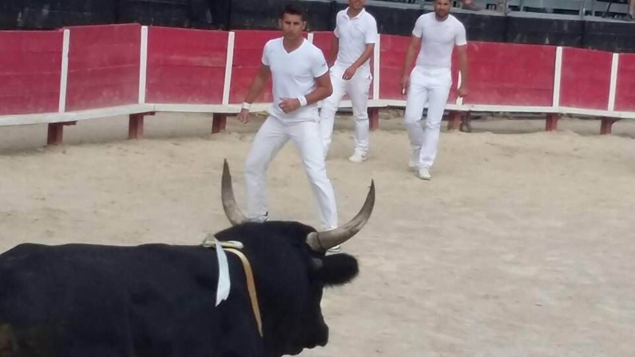 Photo of Others in Frontignan