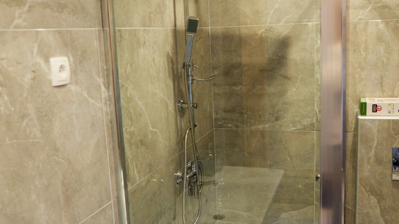 Photo of Bathroom in Plaski