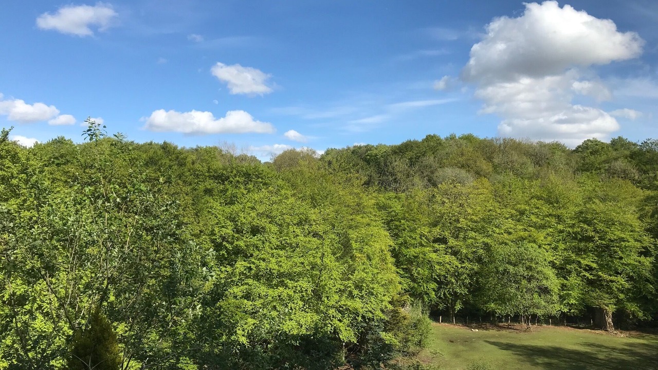Photo of Bedroom in Llandybie