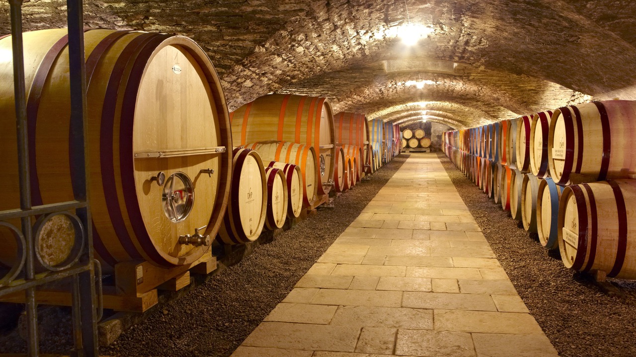 Photo of Outdoor in Santenay