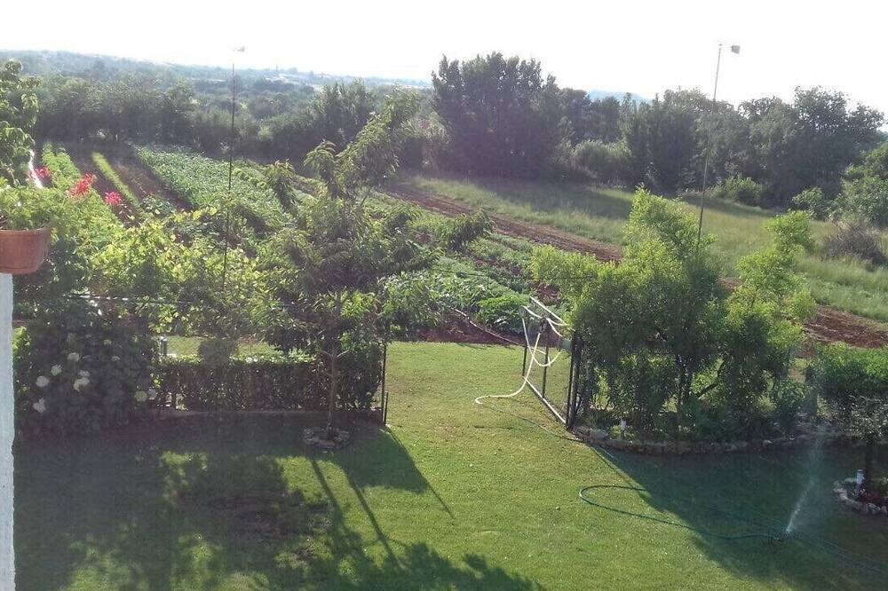 Photo of Outdoor in Jadreski