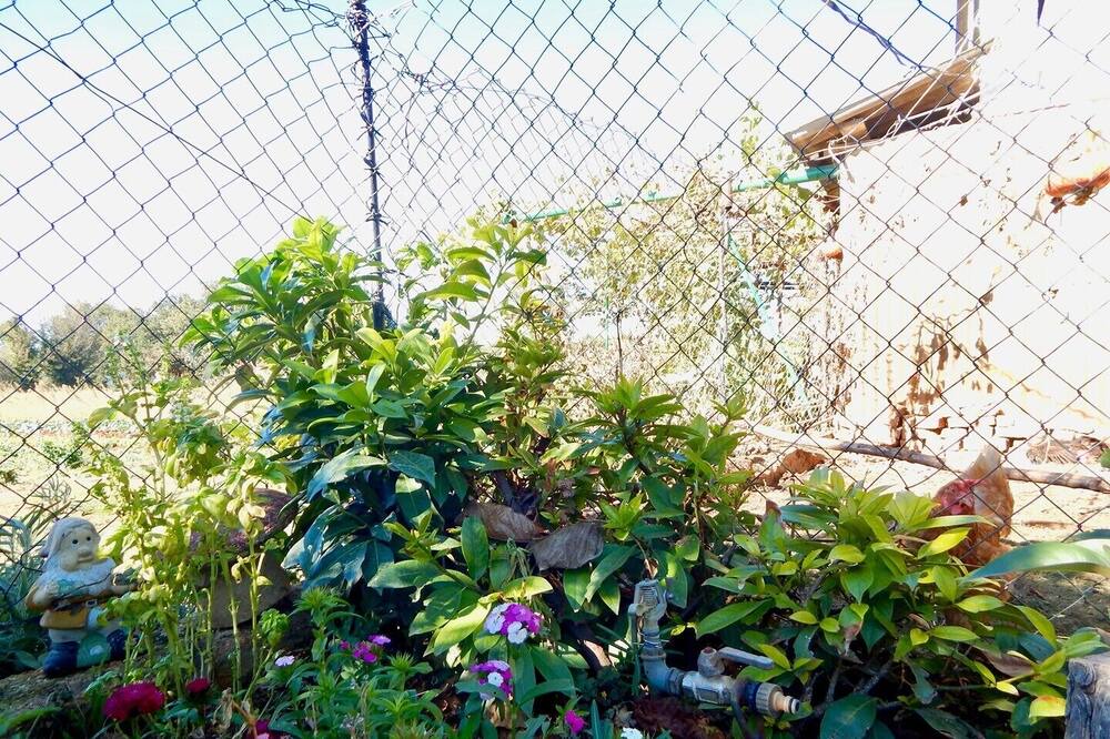 Photo of Outdoor in Jadreski