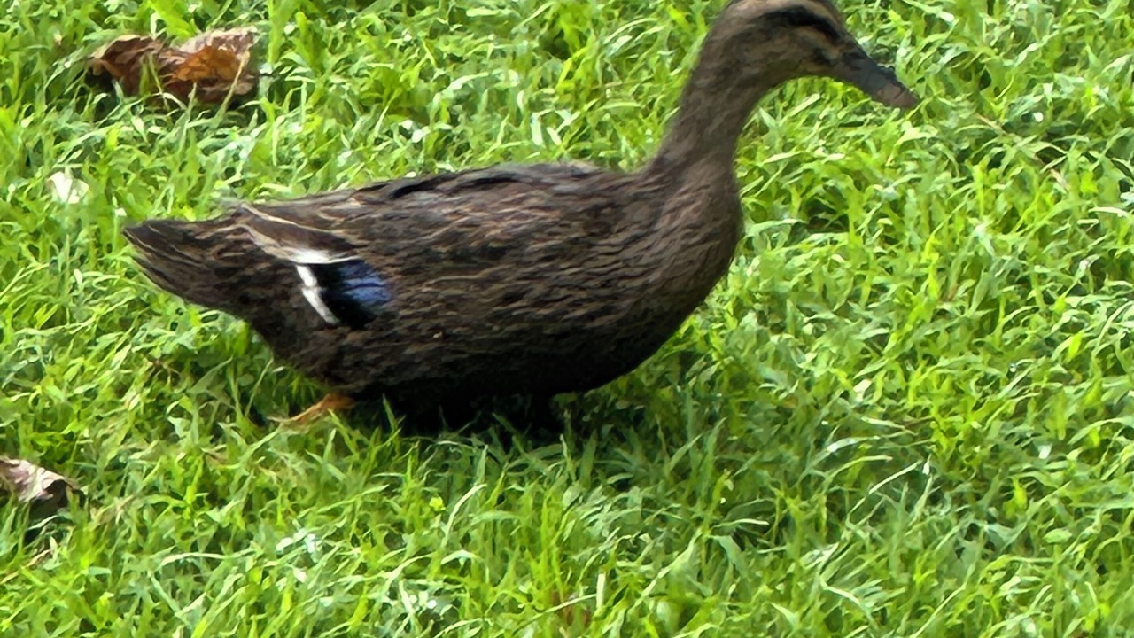 Photo of Outdoor in Monticello