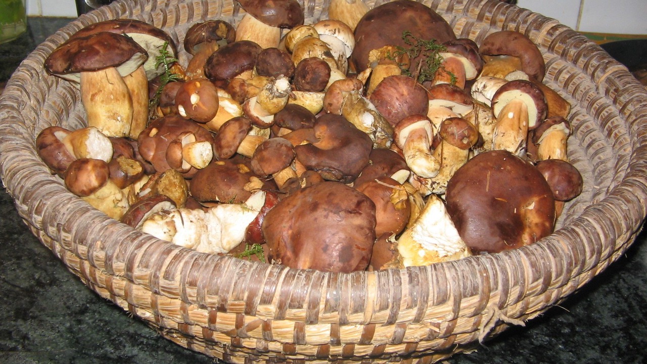 Photo of Others in La Selve