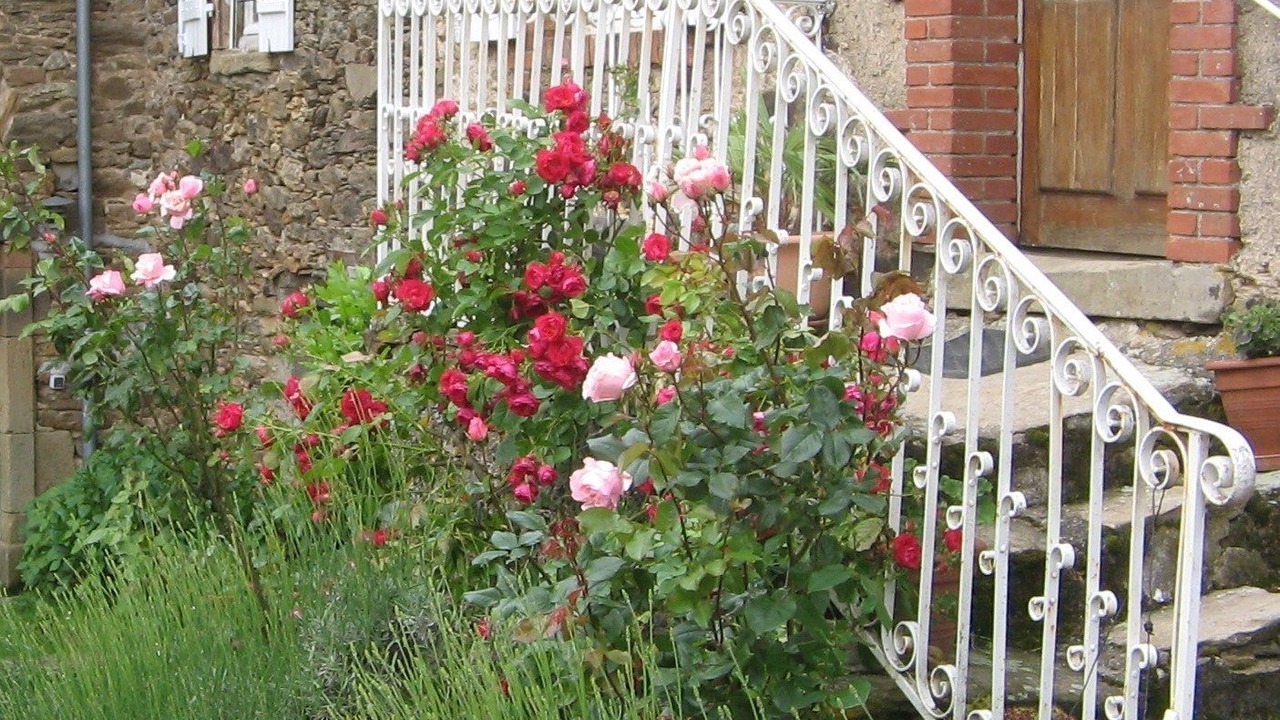 Photo of Outdoor in La Selve