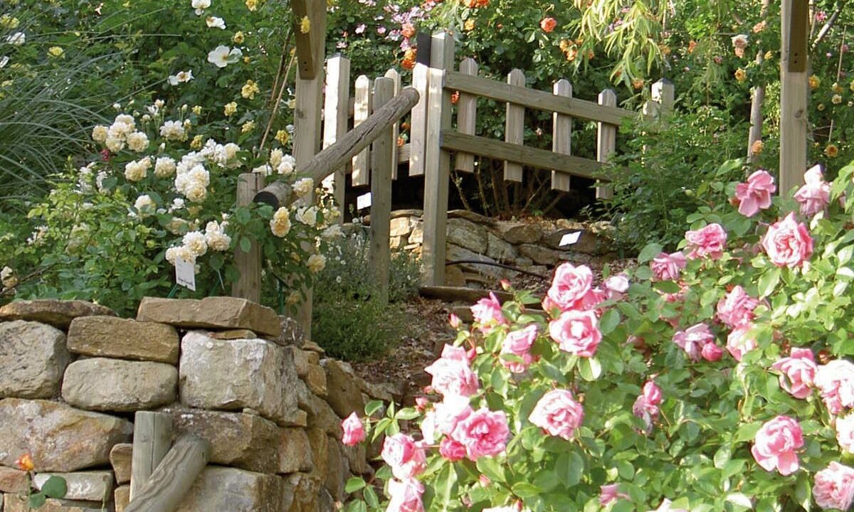 Photo of Outdoor in Simiane-la-Rotonde
