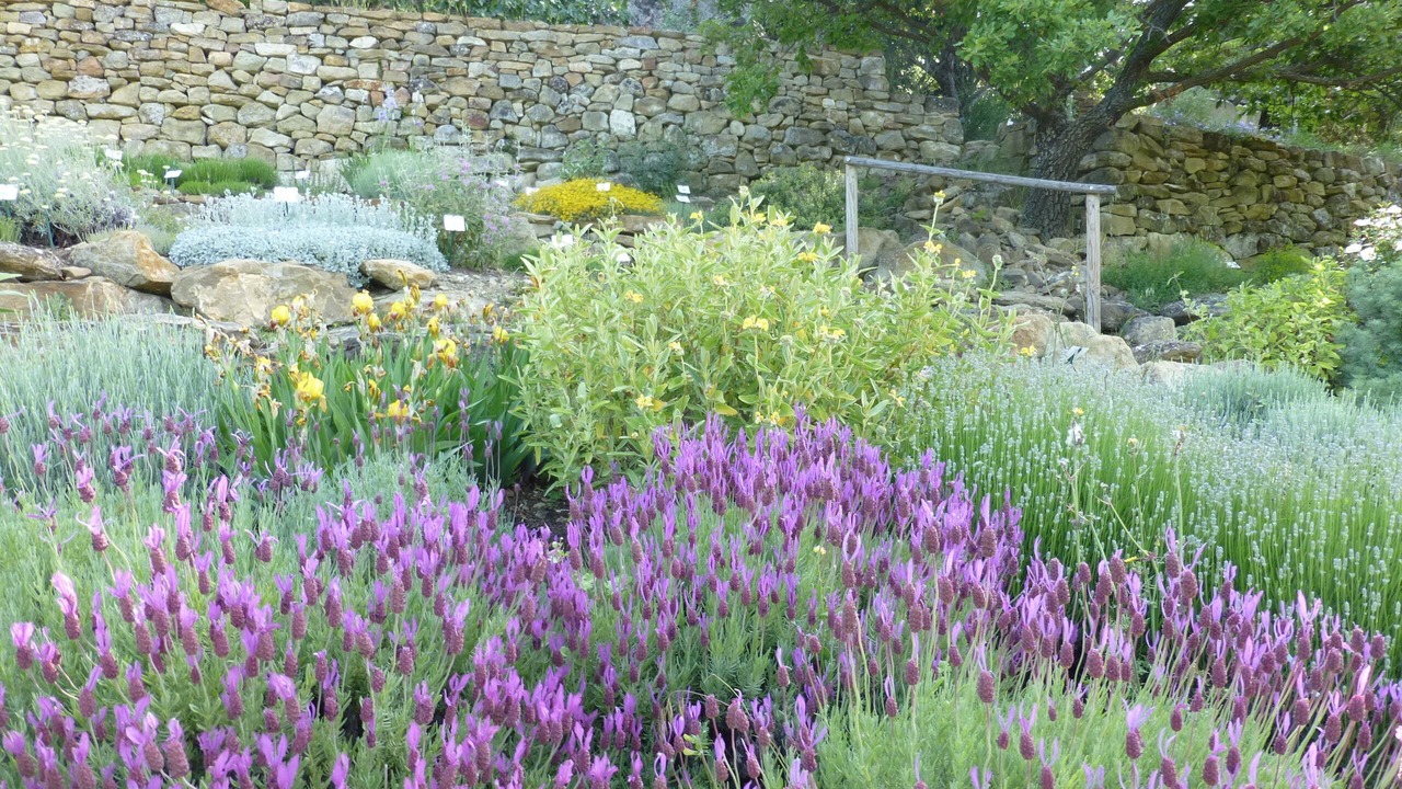 Photo of Outdoor in Simiane-la-Rotonde