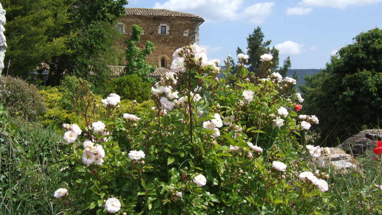 Photo of Outdoor in Simiane-la-Rotonde