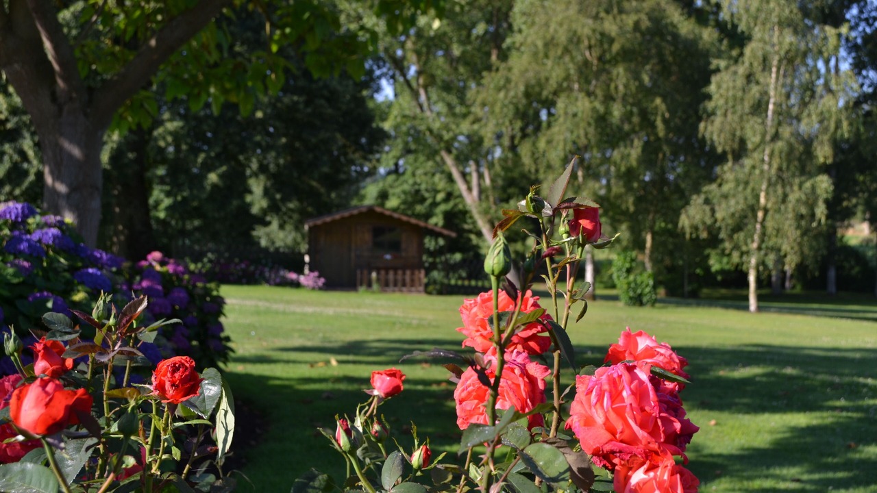 Photo of Outdoor in Chantrigne
