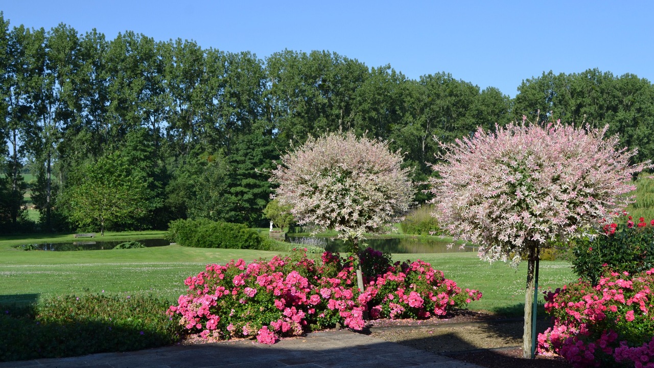 Photo of Outdoor in Chantrigne