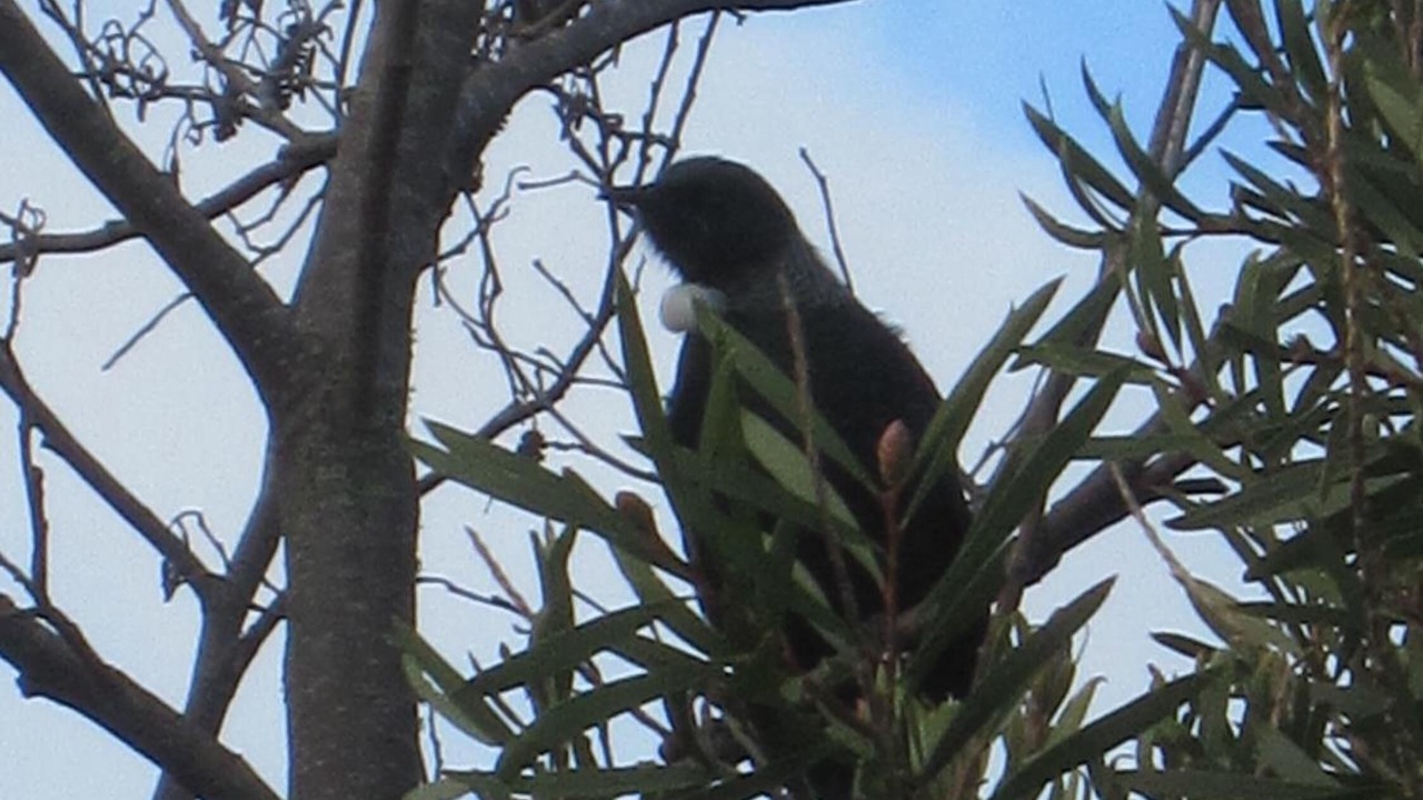 Photo of Outdoor in Halcombe