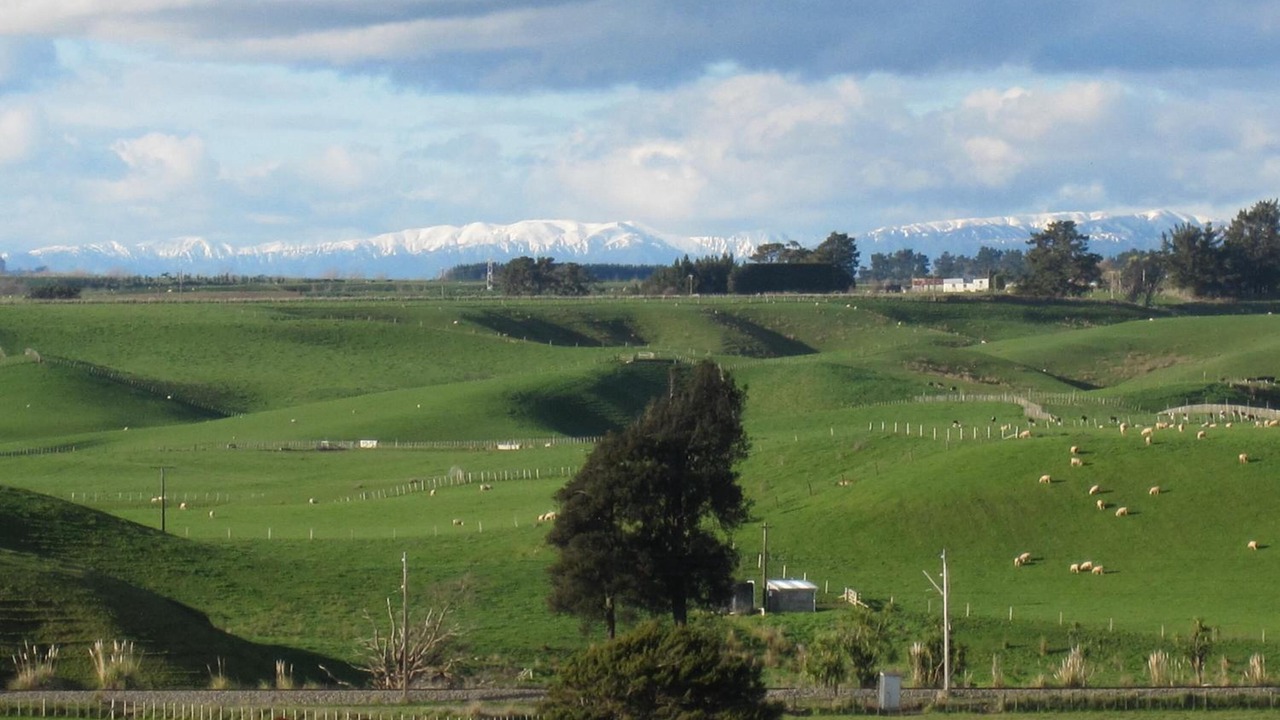 Photo of Others in Halcombe