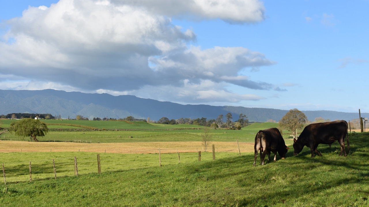 Photo of Outdoor in Walton