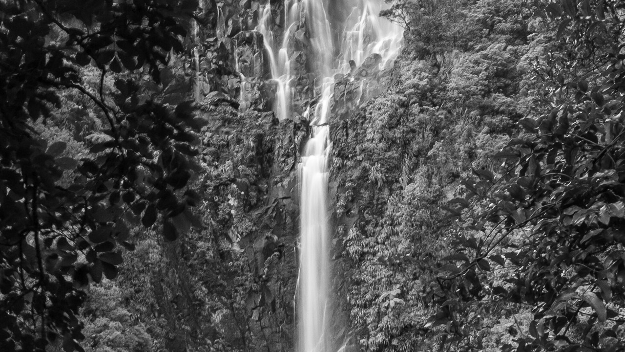 Photo of Others in Walton