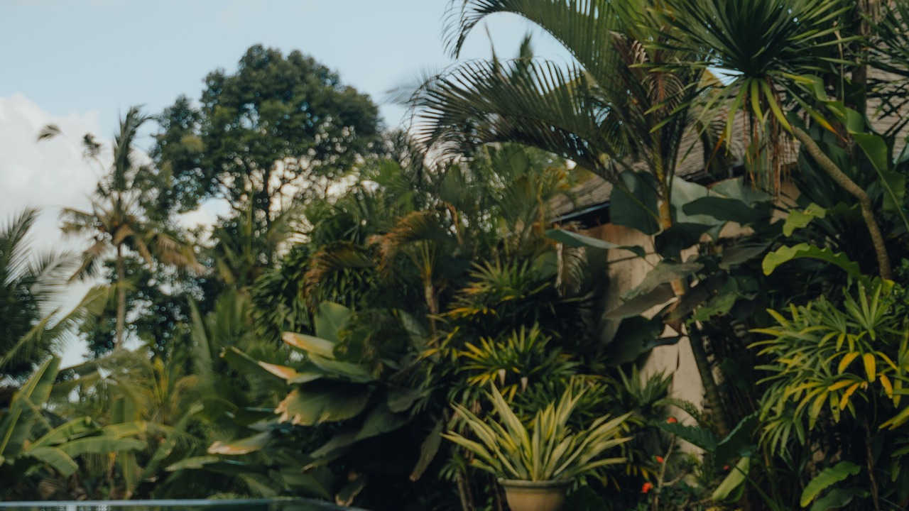 Photo of Outdoor in Kedewatan