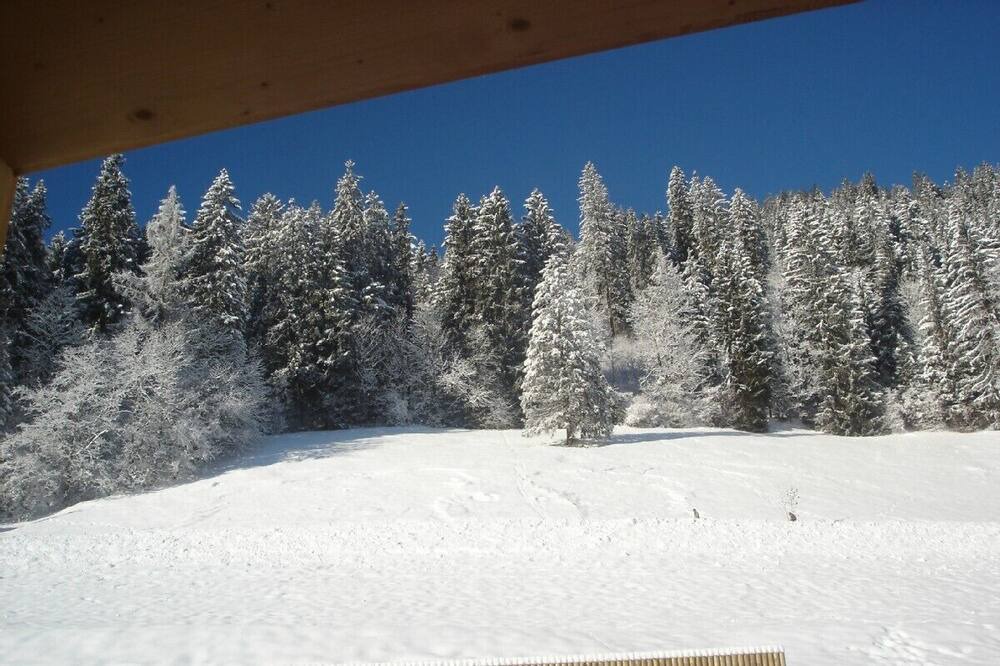 Photo of Others in Zweisimmen