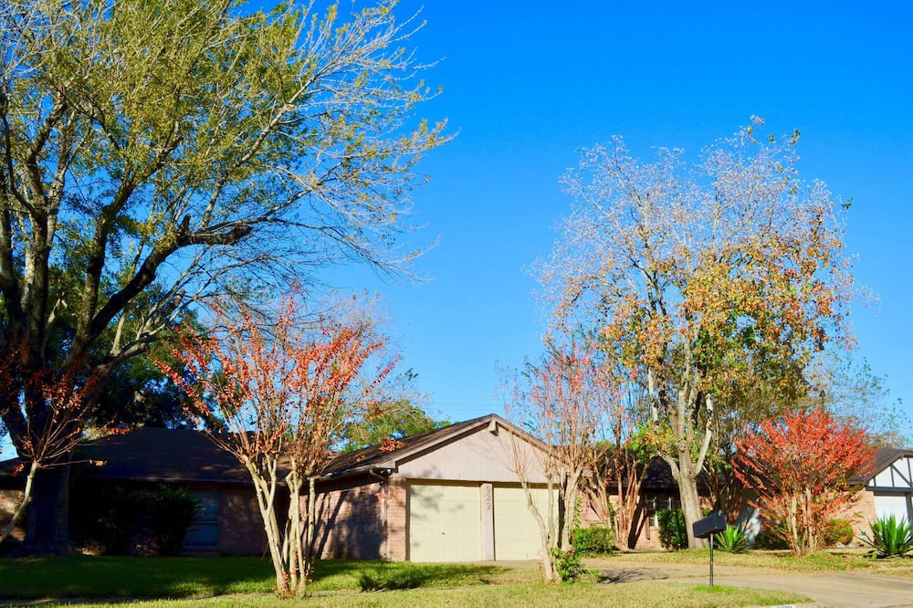 Photo of Outdoor in Missouri City