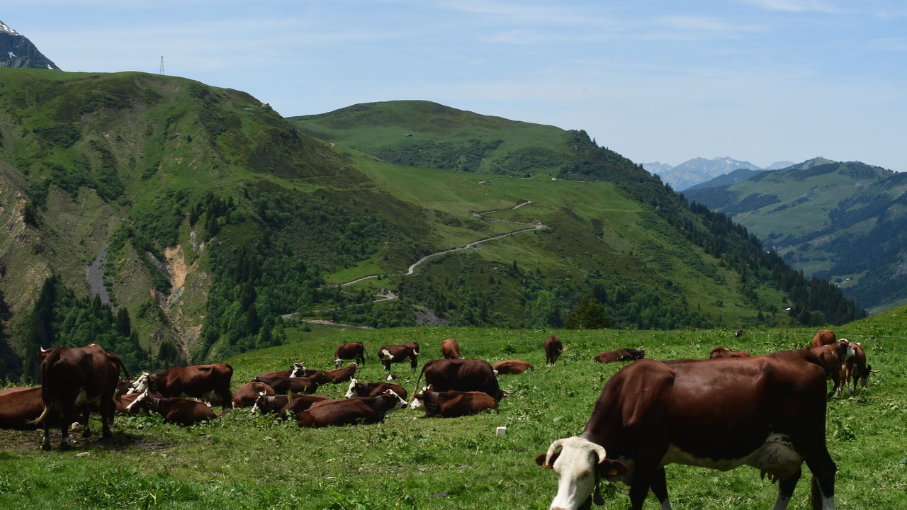 Photo of Outdoor in Hauteluce