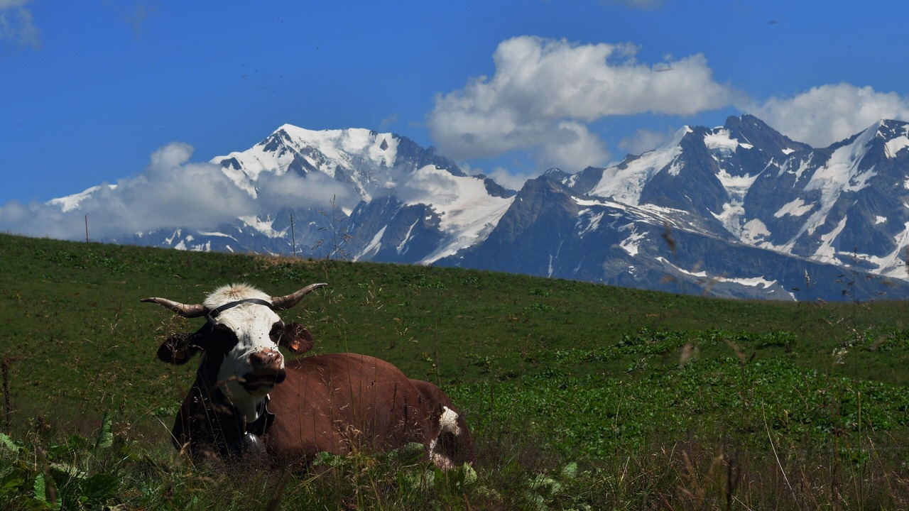 Photo of Outdoor in Hauteluce