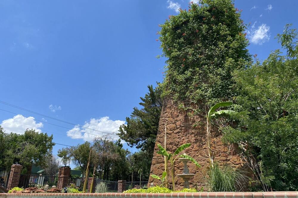 Photo of Outdoor in Forest Park