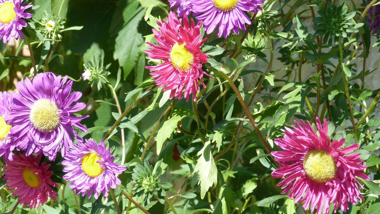 Photo of Outdoor in Tavant