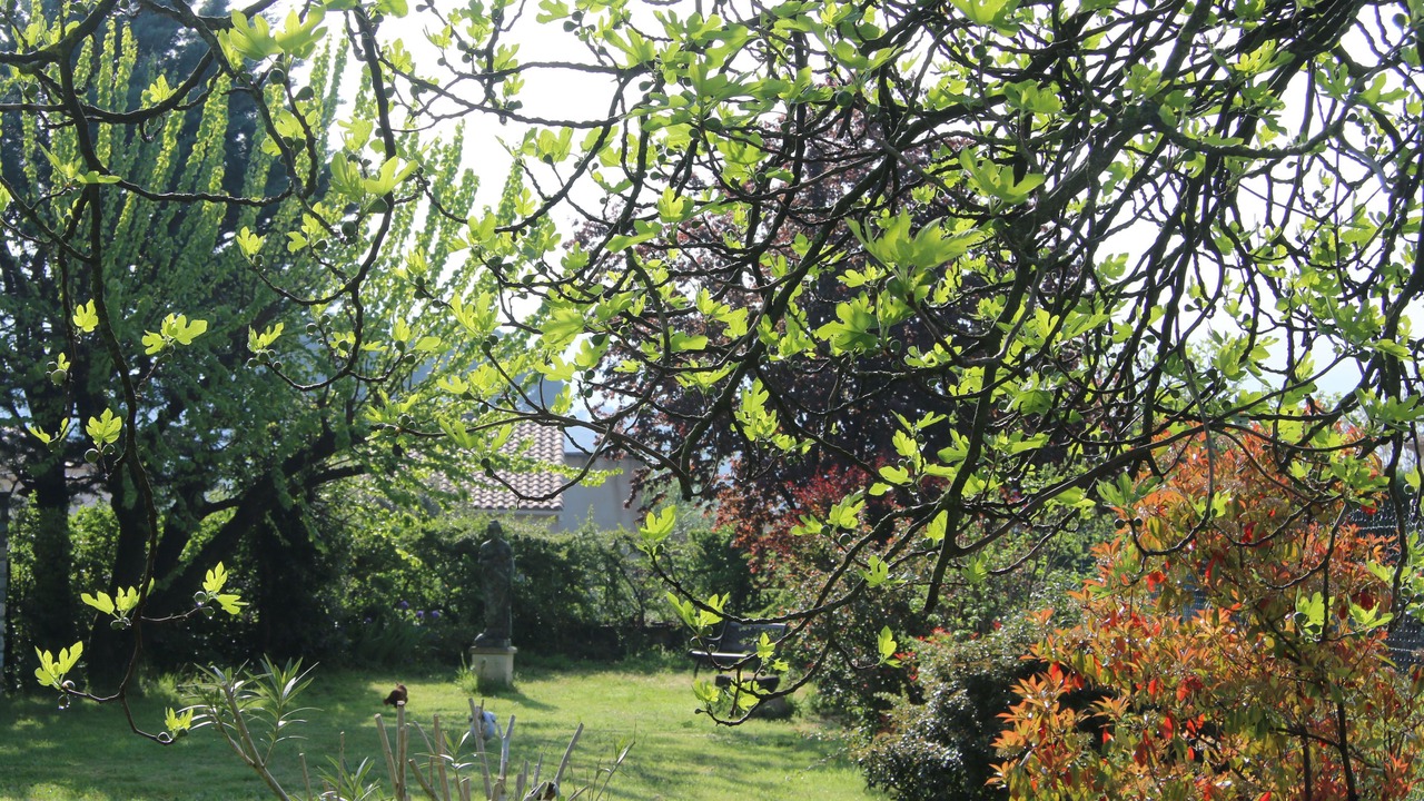 Photo of Outdoor in Combas