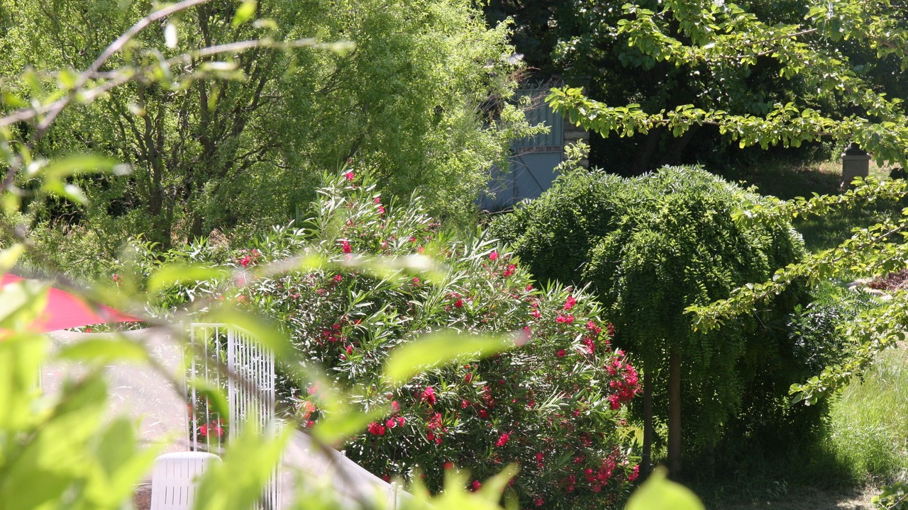 Photo of Outdoor in Combas