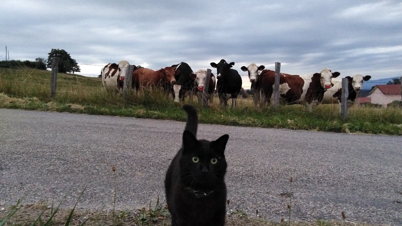 Photo of Outdoor in Charancieu