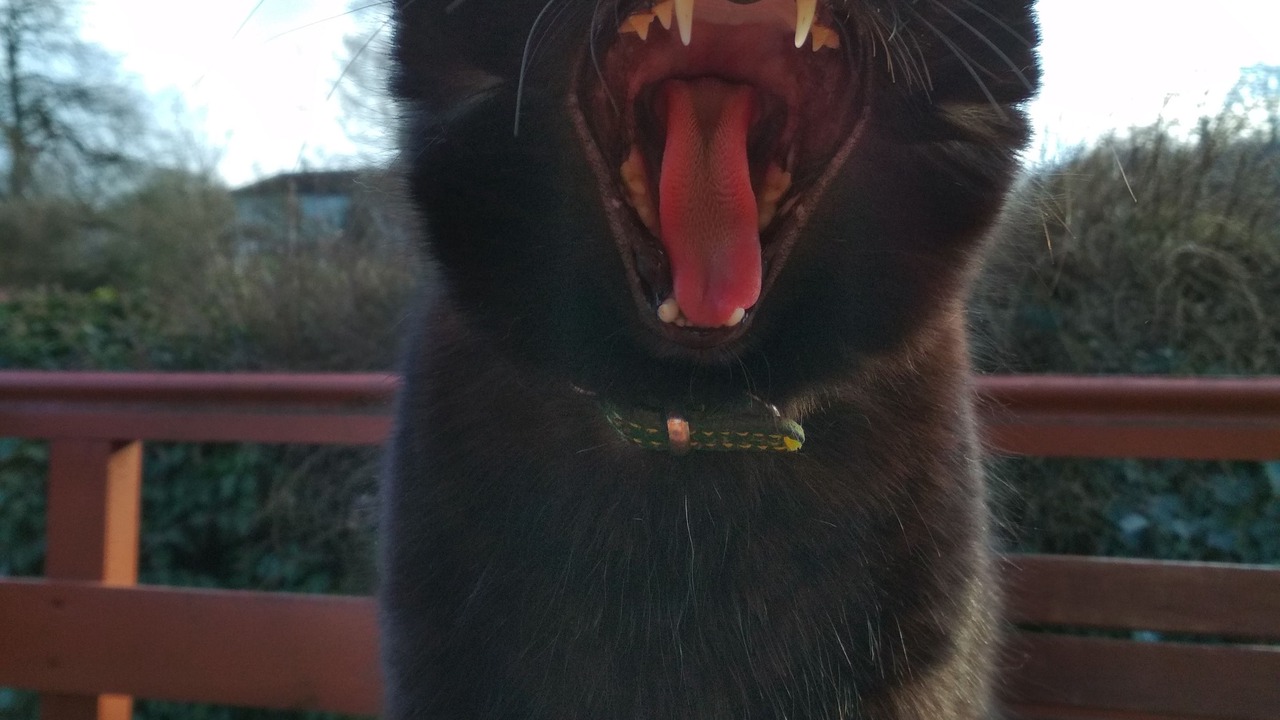 Photo of Outdoor in Charancieu