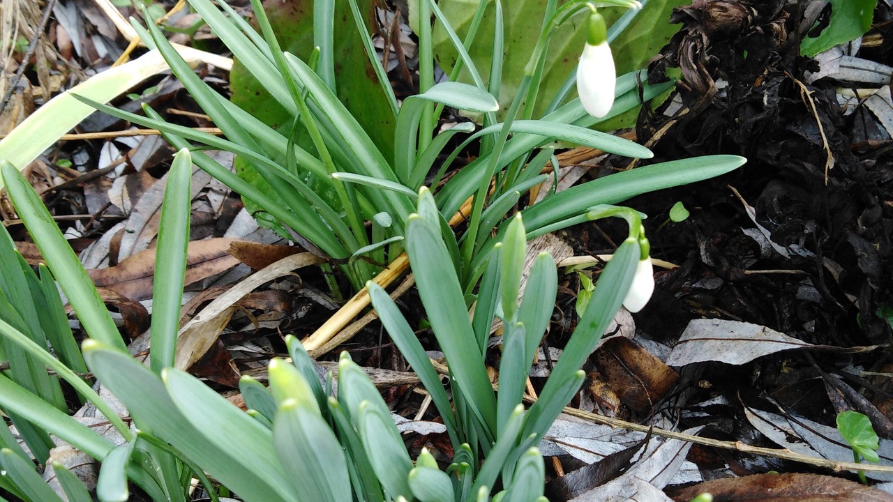 Photo of Outdoor in Charancieu