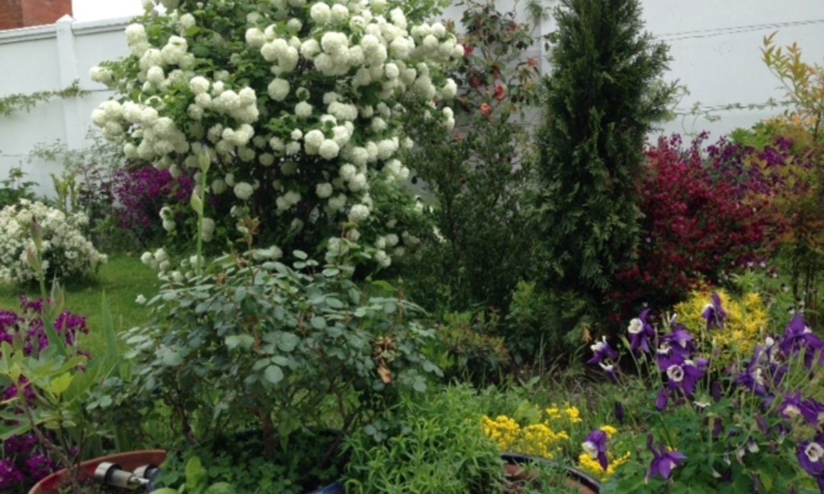 Photo of Outdoor in Mazeres