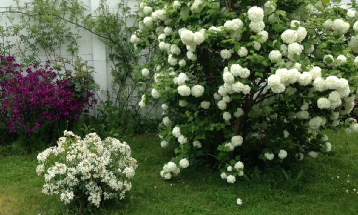 Photo of Outdoor in Mazeres