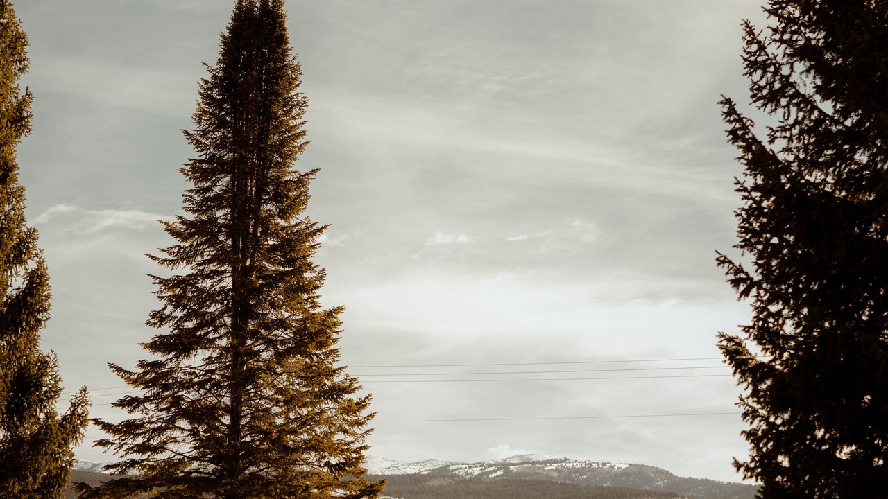 Photo of Outdoor in Victor